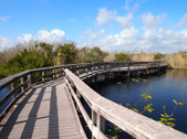 Enlarge photo 40
