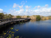 Enlarge photo 41