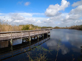 Enlarge photo 58