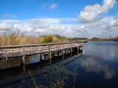Enlarge photo 59