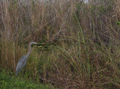 Enlarge photo 60