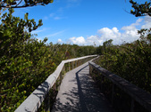 Enlarge photo 35