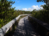 Enlarge photo 37