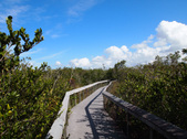 Enlarge photo 38