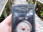 Enlarge photo 36