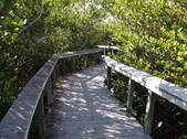Enlarge photo 40