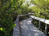 Enlarge photo 39