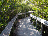 Enlarge photo 42