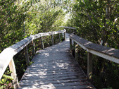 Enlarge photo 43
