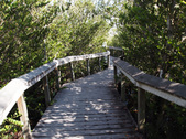 Enlarge photo 46