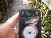 Enlarge photo 45