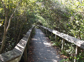 Enlarge photo 47