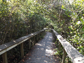 Enlarge photo 48