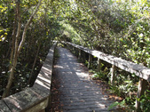 Enlarge photo 51