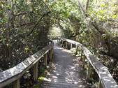 Enlarge photo 54