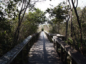 Enlarge photo 62