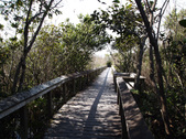 Enlarge photo 63