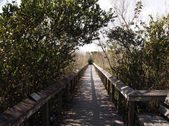 Enlarge photo 64