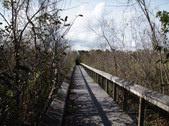 Enlarge photo 67