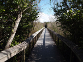 Enlarge photo 72