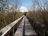 Enlarge photo 73