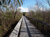 Enlarge photo 74