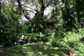 Enlarge photo 26