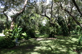 Enlarge photo 35