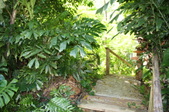 Enlarge photo 57