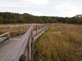Enlarge photo 28