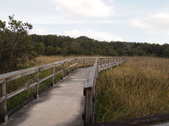 Enlarge photo 35