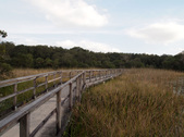 Enlarge photo 36