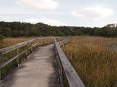 Enlarge photo 37