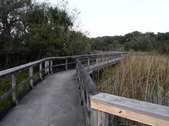 Enlarge photo 42