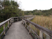Enlarge photo 41