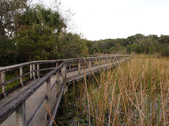 Enlarge photo 43