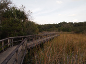 Enlarge photo 44
