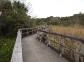 Enlarge photo 45