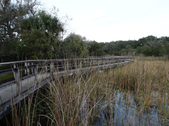 Enlarge photo 46