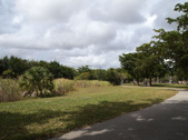 Enlarge photo 40