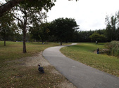 Enlarge photo 43