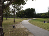 Enlarge photo 44