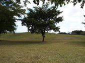 Enlarge photo 46