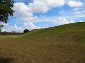 Enlarge photo 48