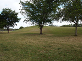Enlarge photo 52