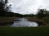 Enlarge photo 53