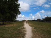 Enlarge photo 60