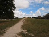 Enlarge photo 59
