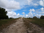 Enlarge photo 63