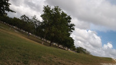 Enlarge photo 64